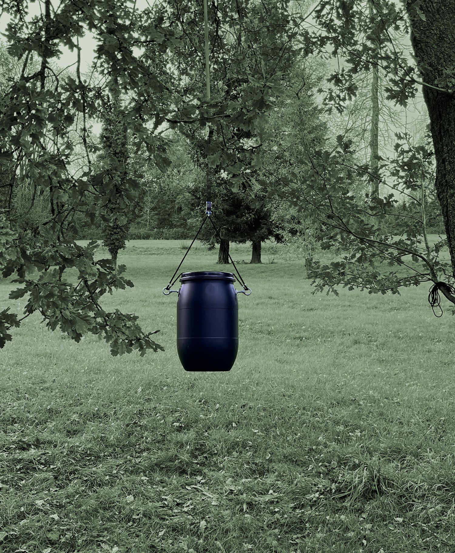 ein kirrautomat vom typ handykirrung haengt mit einem flaschenzug an einem baum im wald